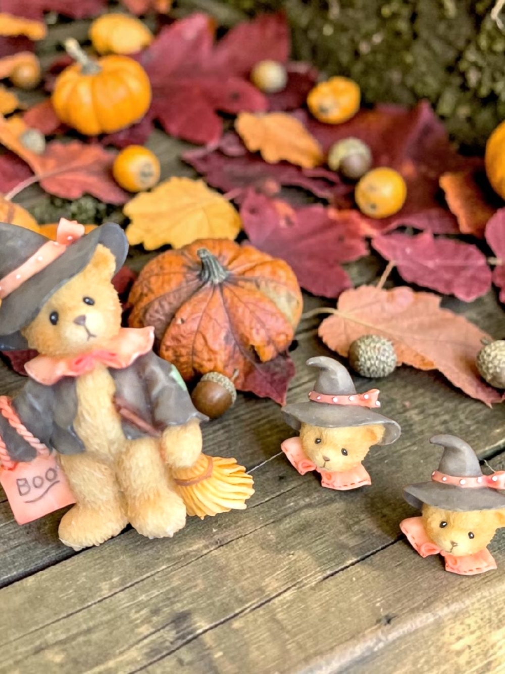 Vtg Autumn Witch Bear Brooch and Earrings